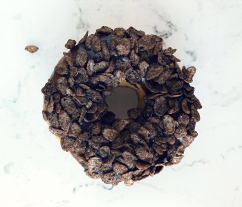 Cocoa Pebbles cocoa pebbles